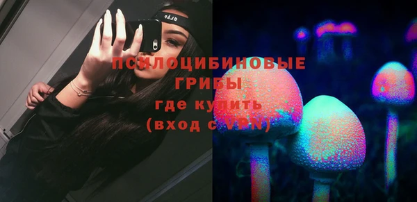 хмурый Алексеевка