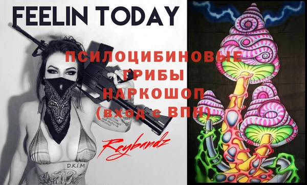 хмурый Алексеевка