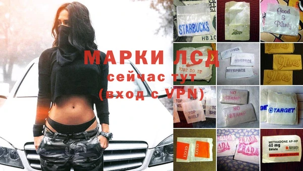 хмурый Алексеевка