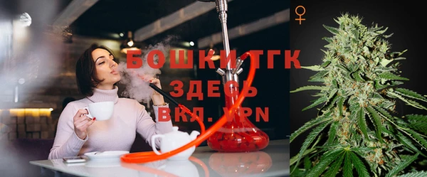 хмурый Алексеевка