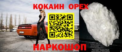 Альфа ПВП Ачхой-Мартан