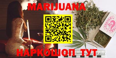 Альфа ПВП Ачхой-Мартан