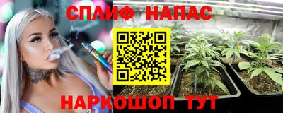 Альфа ПВП Ачхой-Мартан