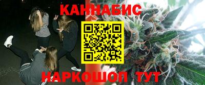 Альфа ПВП Ачхой-Мартан